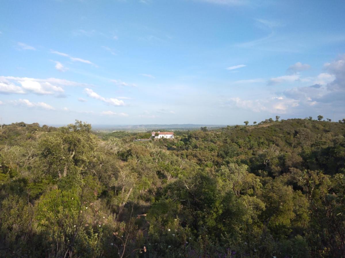 The One - Country House Grândola Екстериор снимка