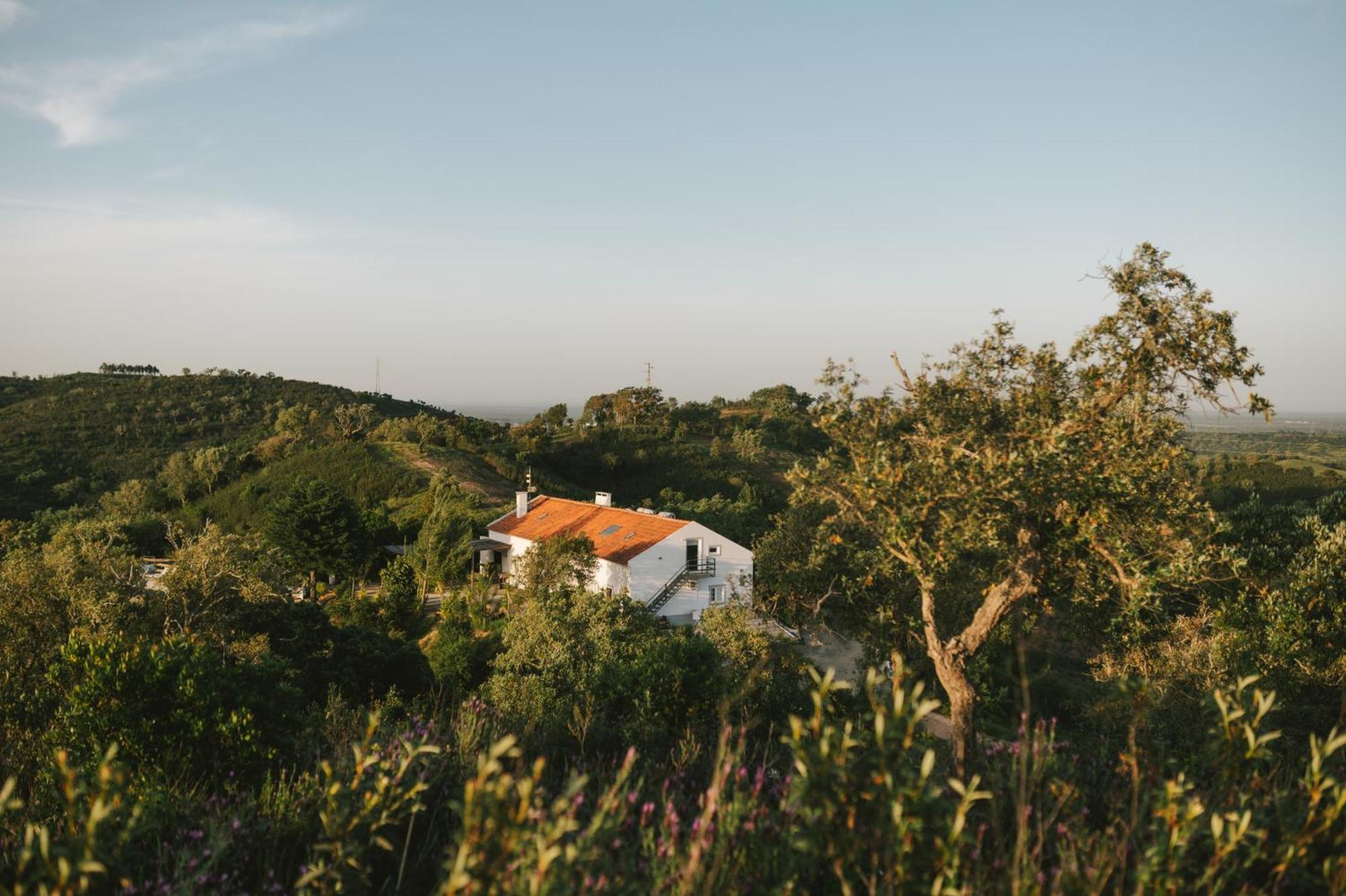 The One - Country House Grândola Екстериор снимка